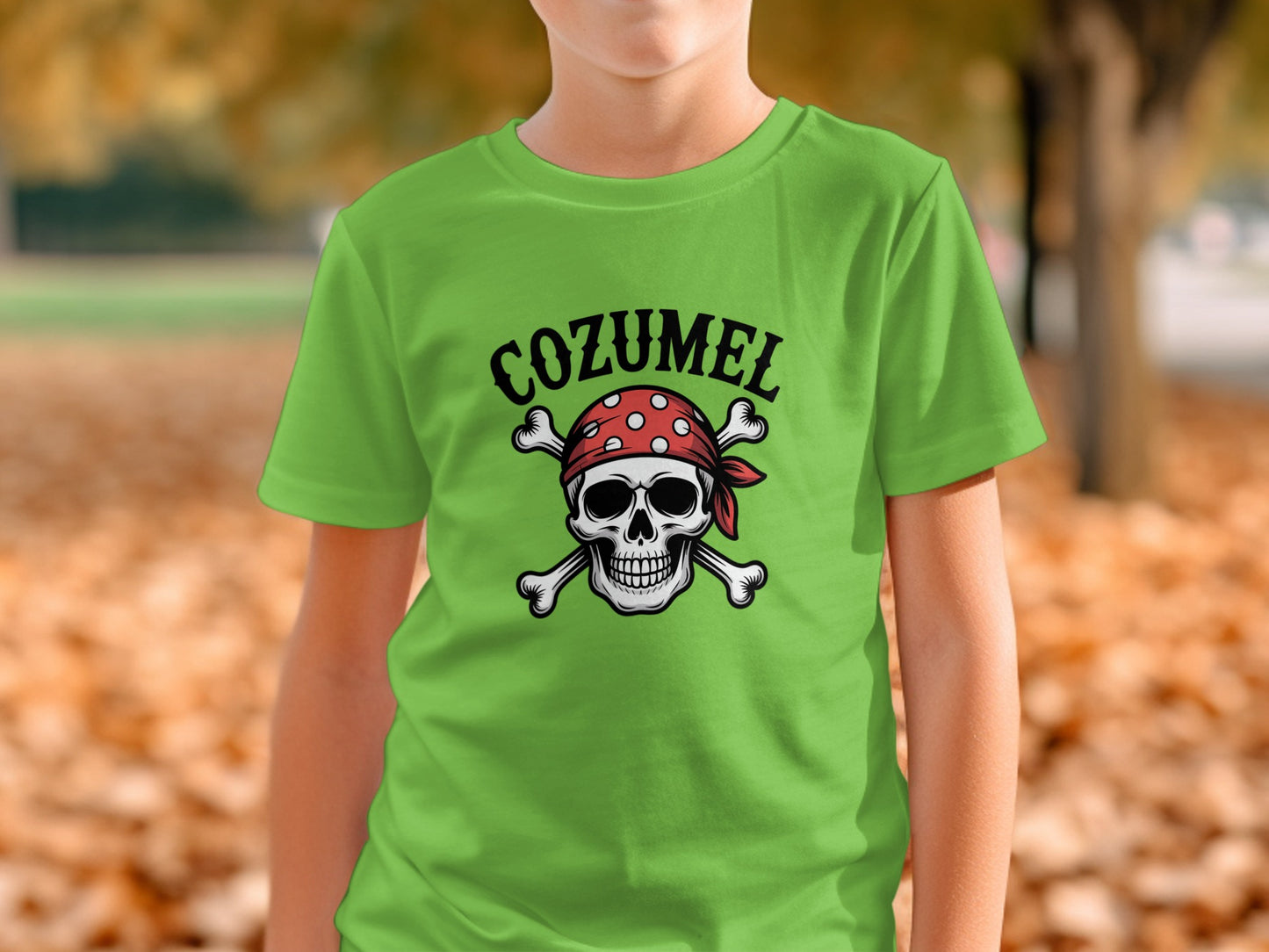 Cozumel Skull and Crossbones T-shirt product type