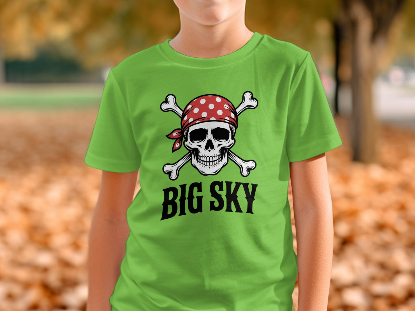 Big Sky Pirate Skull Graphic Print T-shirt product