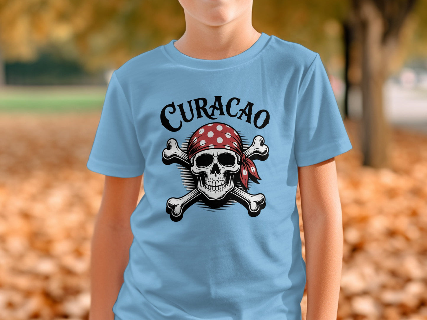 Curacao Skull and Crossbones Graphic Tee product type