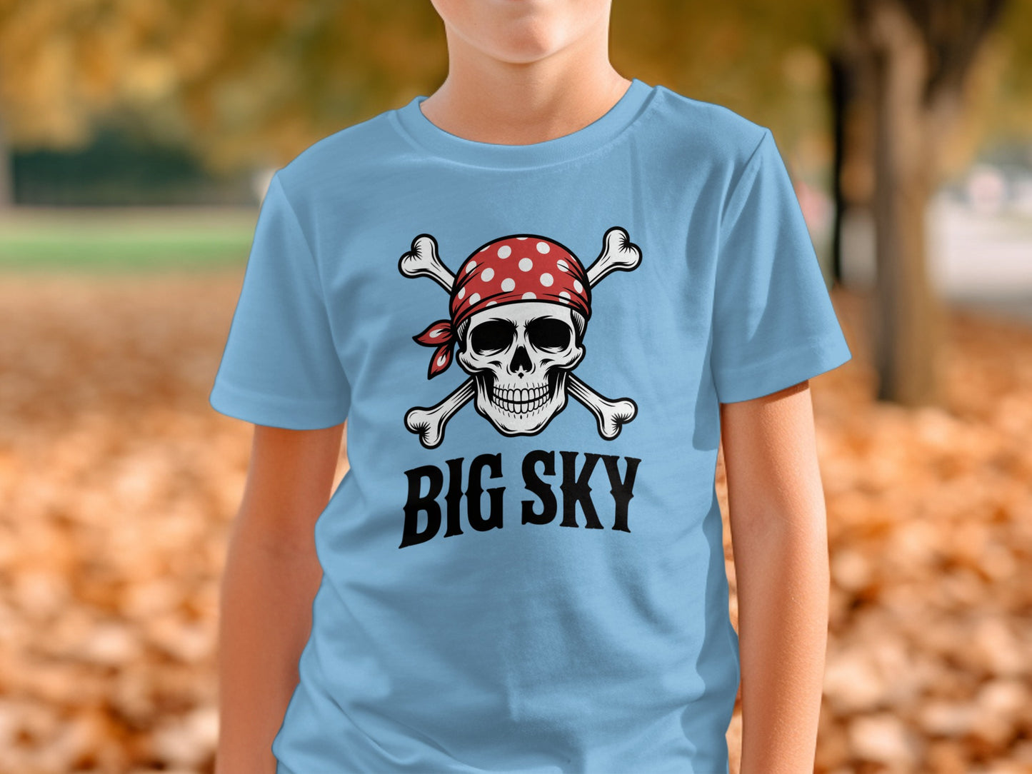 Big Sky Pirate Skull Graphic Tee product