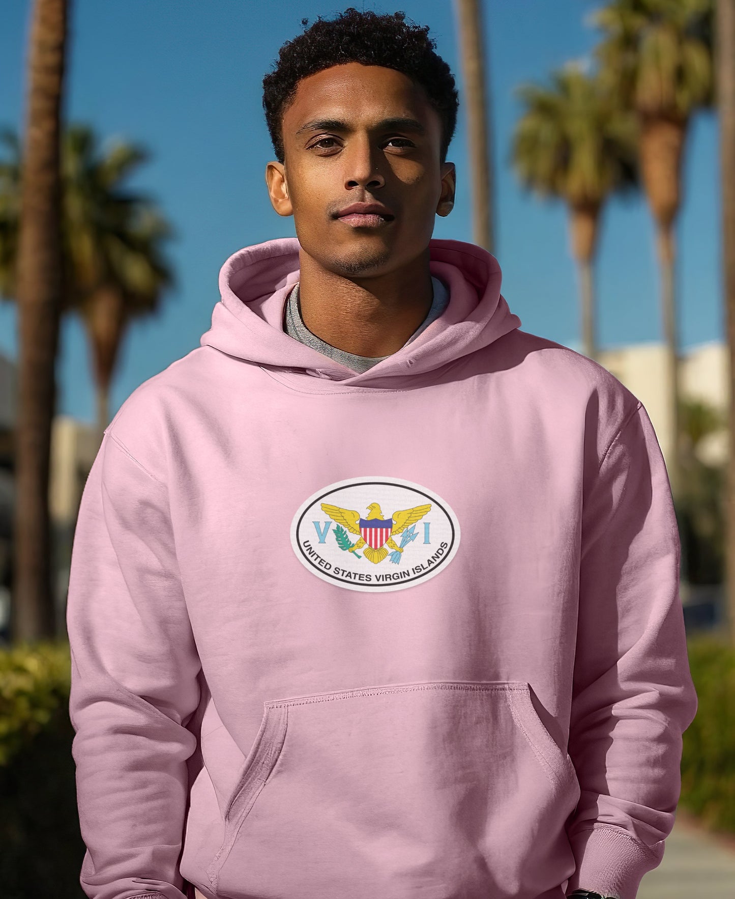 United States Virgin Islands Emblem Hoodie product