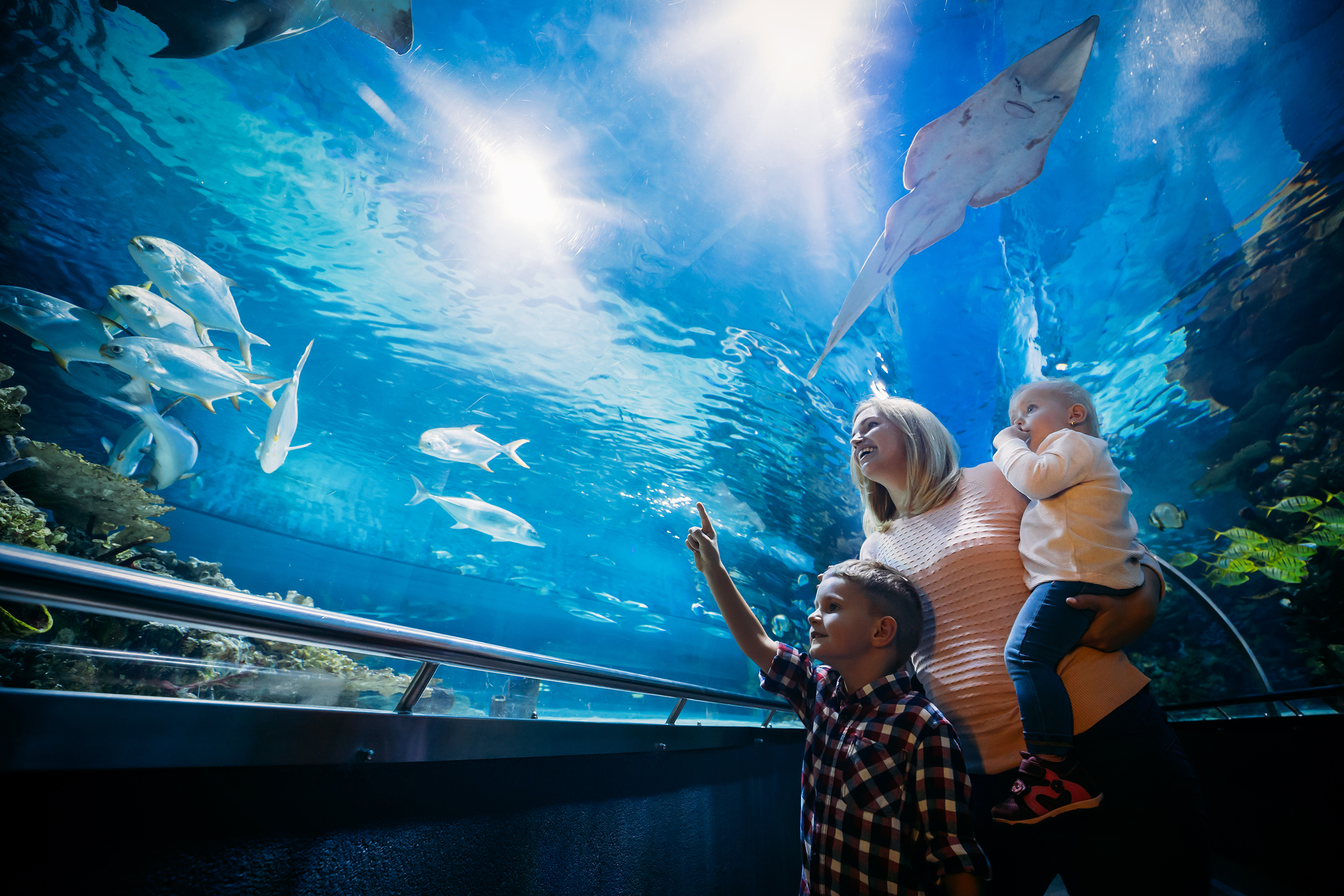 Kids in Aquarium