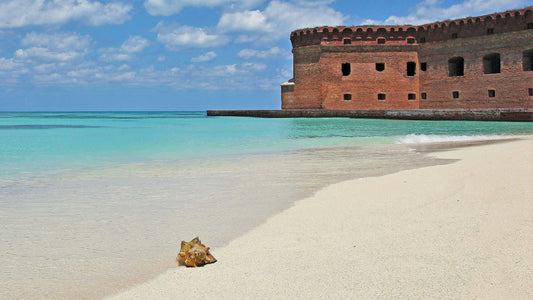 From Hemingway to Hurricanes: Key West Uncovered