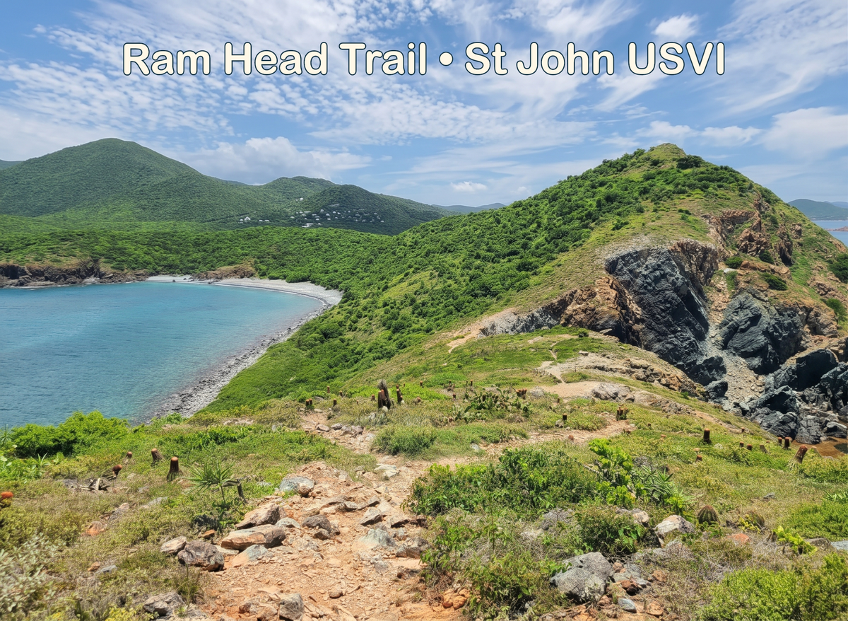 Rocky Ram Head Trail among cacti above a turquoise bay and green coastal headland, with the title Ram Head Trail • St John USVI.