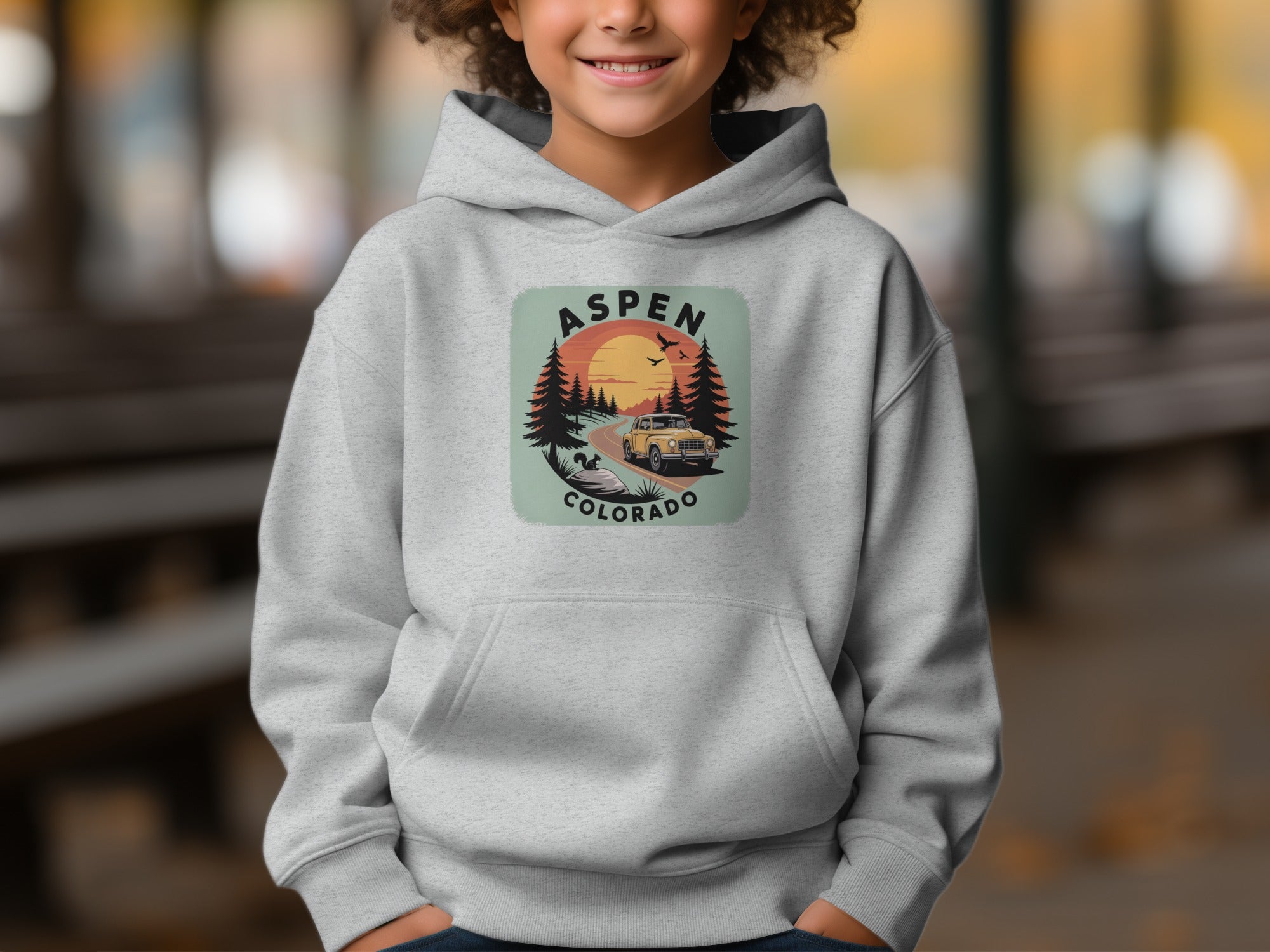 Aspen Colorado Sunset Scene Hoodie Product