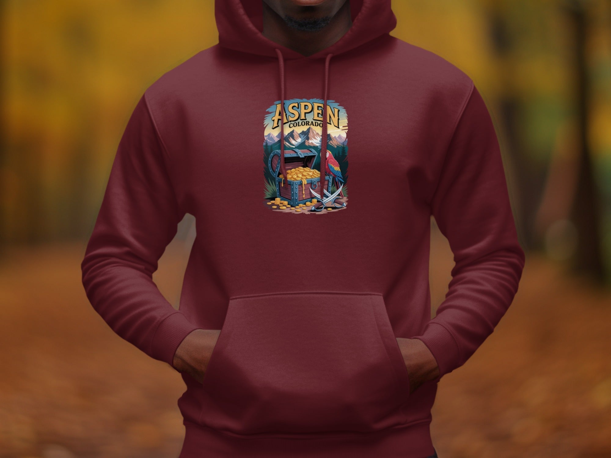 Aspen Colorado Scenic Treasure Graphic Mens Hoodies Hoodies