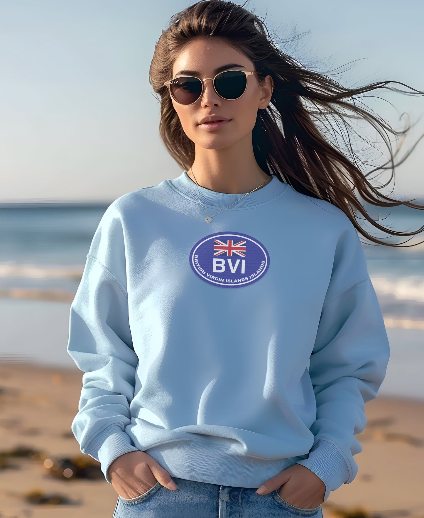Casual Stylish BVI Logo Sweatshirt Fashion Product