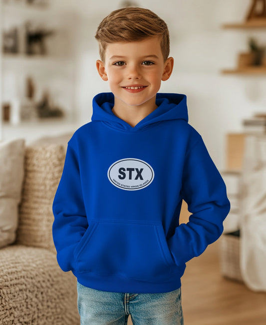 Cozy Blue Hoodie for Kids Casual Wear Product