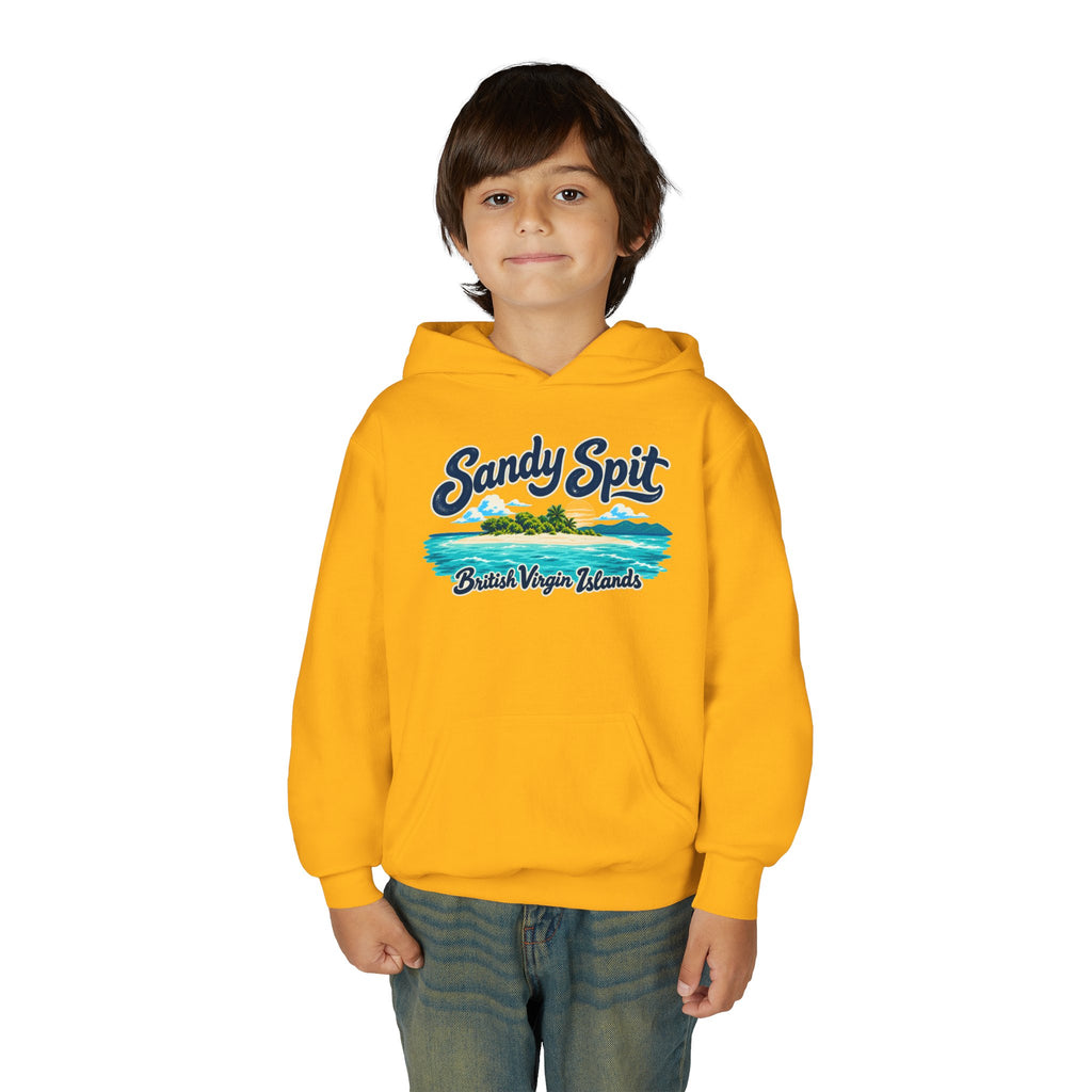 Young model wearing the Sandy Spit BVI Gildan 18500B youth hoodie, front-view mockup.