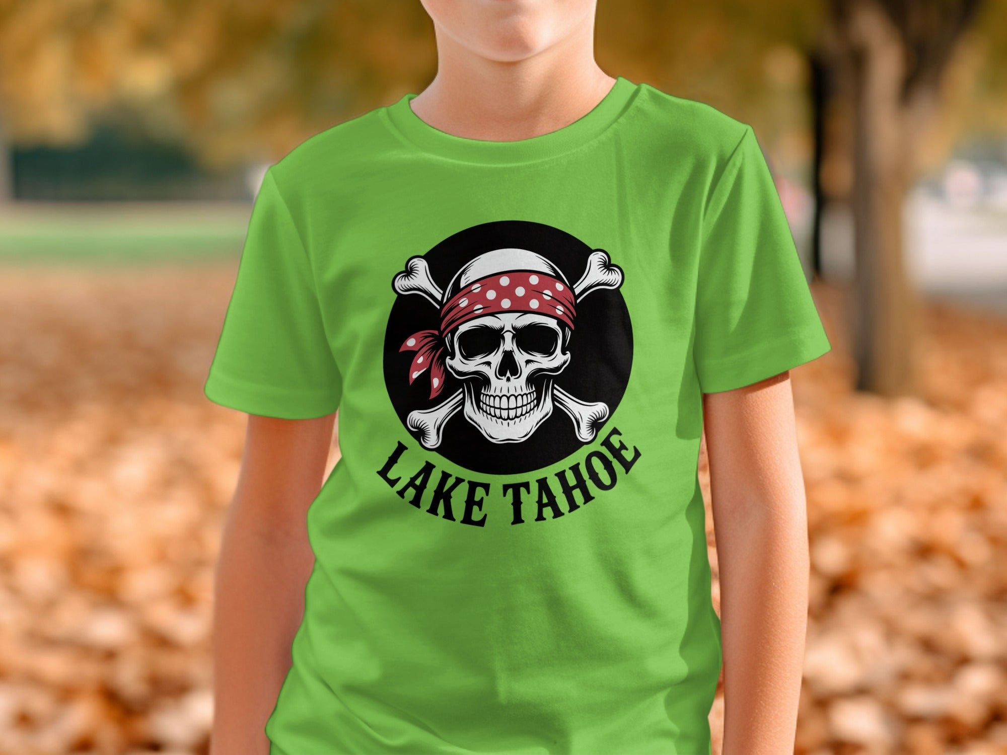 Lake Tahoe Skull and Crossbones T shirt product type