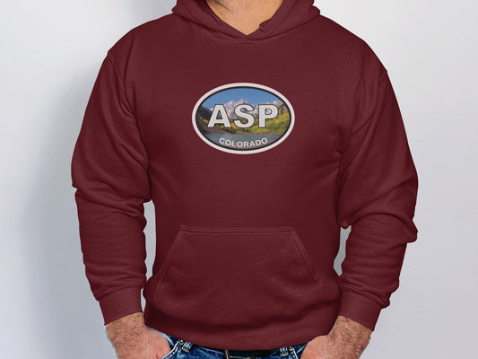 Aspen Mens Vacation Travel Hoodie Gift Souvenir 4