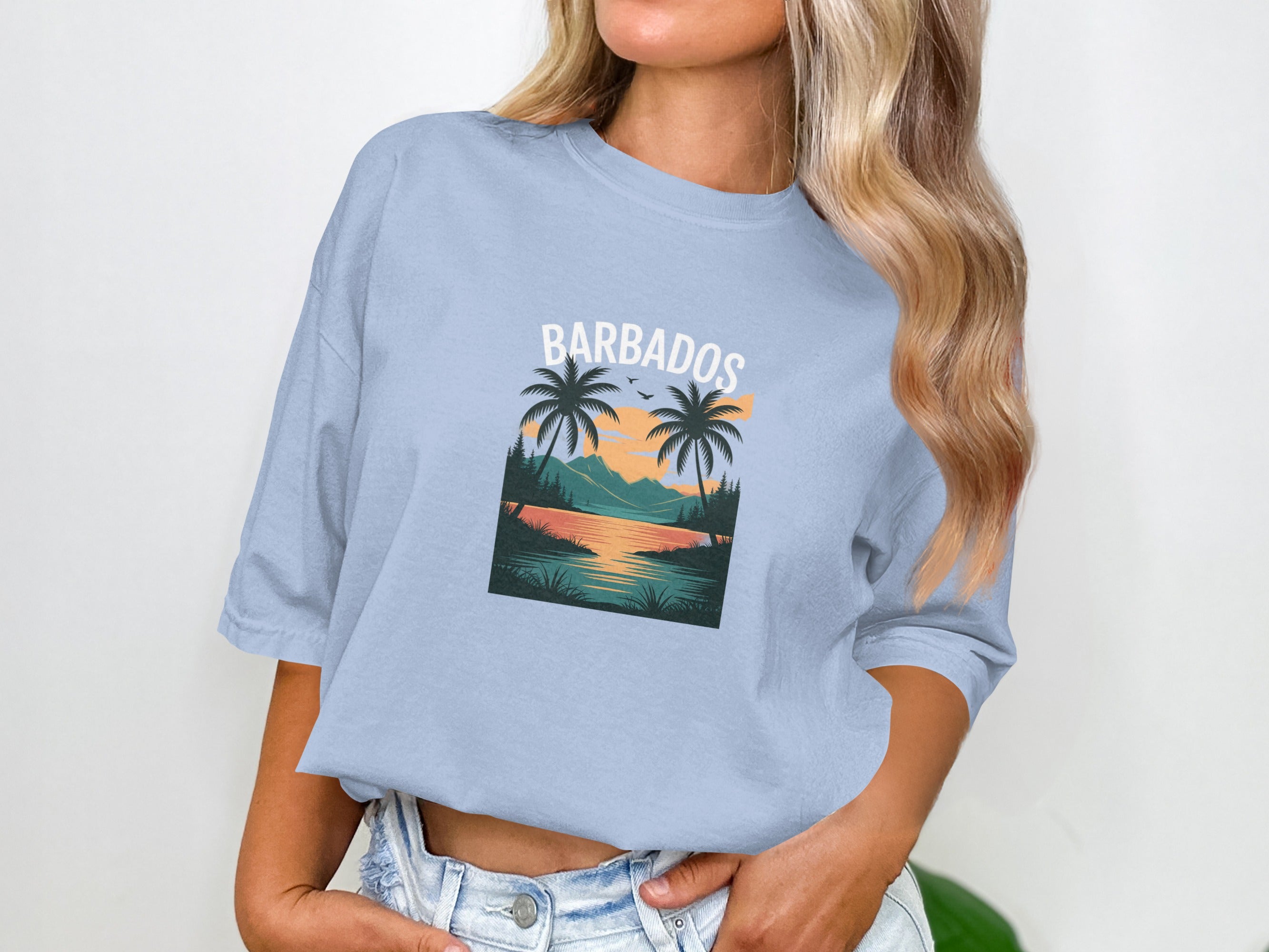Barbados Sunset Landscape T-Shirt product type