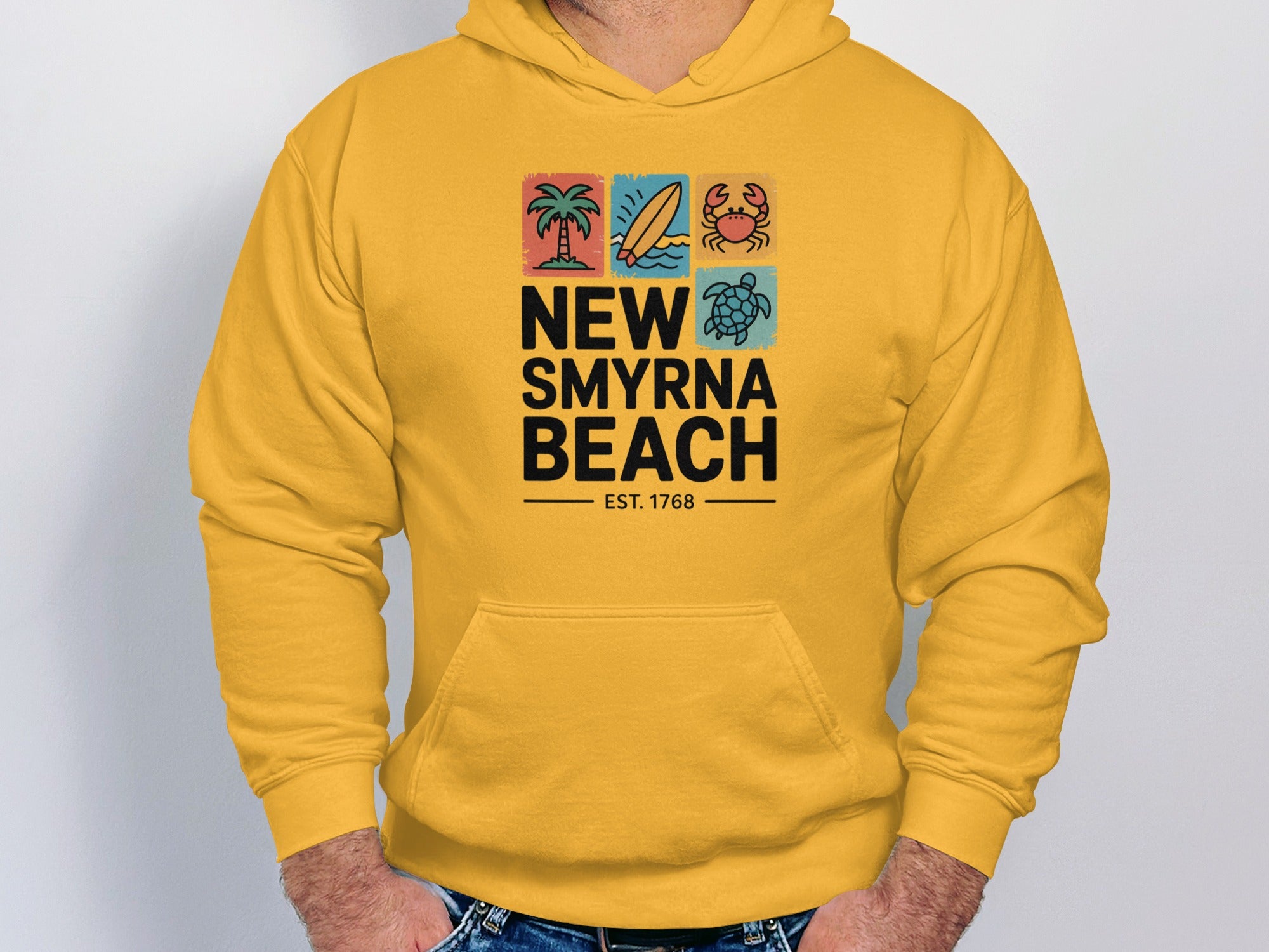 New Smyrna Beach EST 1768 Hoodie product type