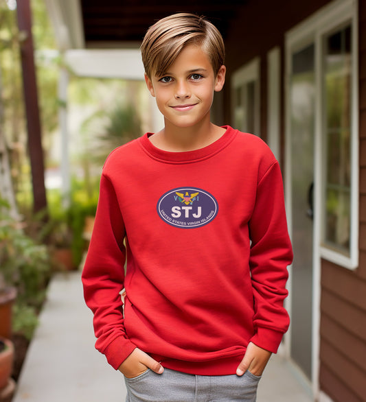 STJ Printed Sweater for Casual Wear Fashion Product