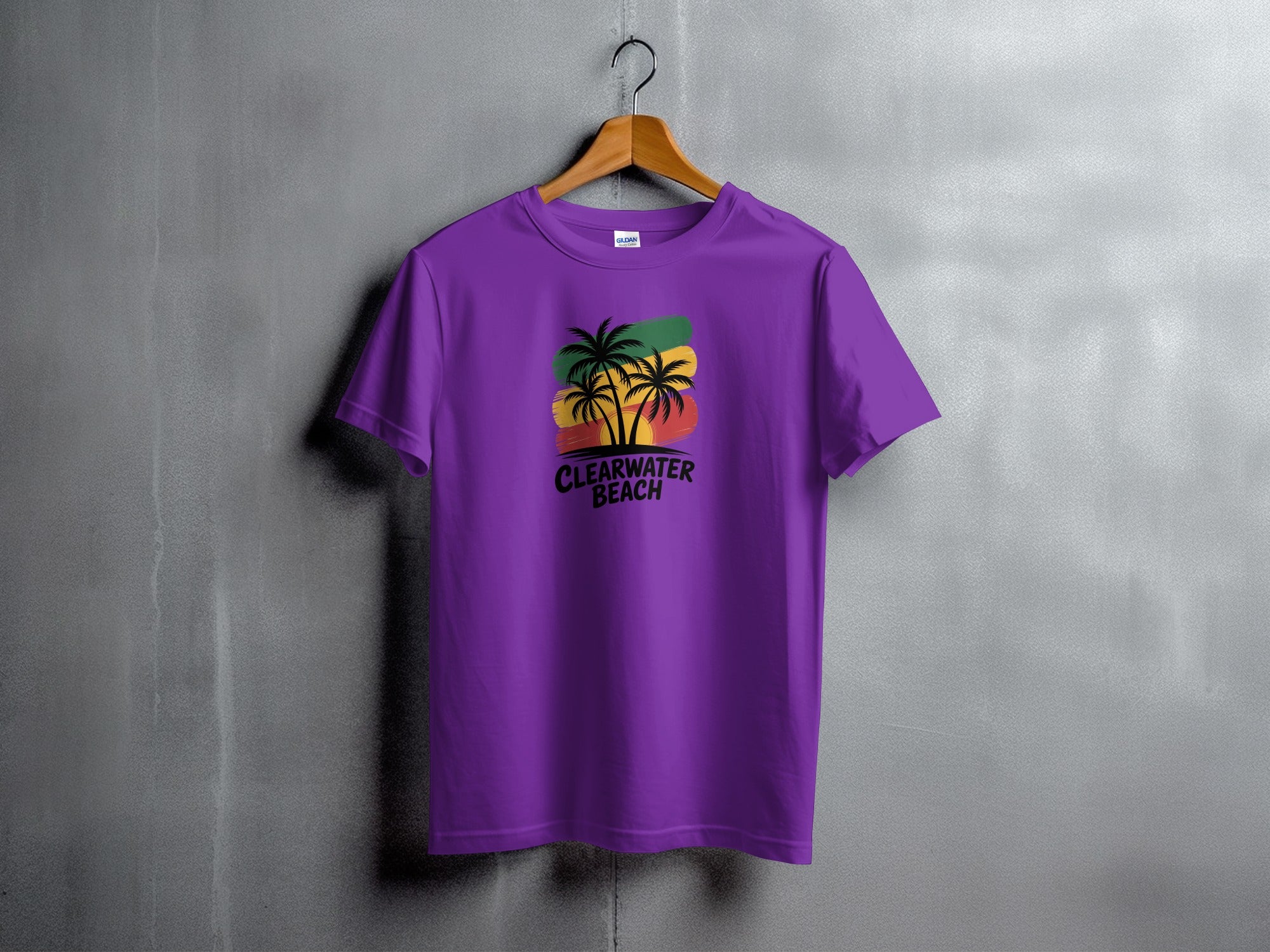 Stylish Clearwater Beach Graphic T-Shirt product type