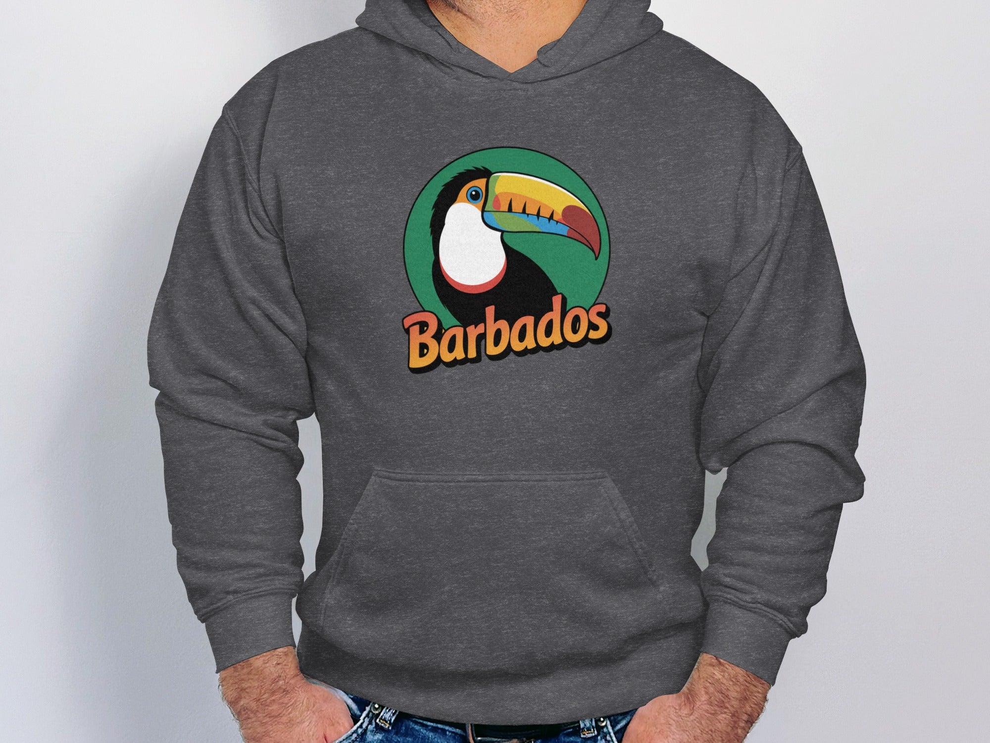 Barbados Toucan Graphic Hoodie Apparel product type