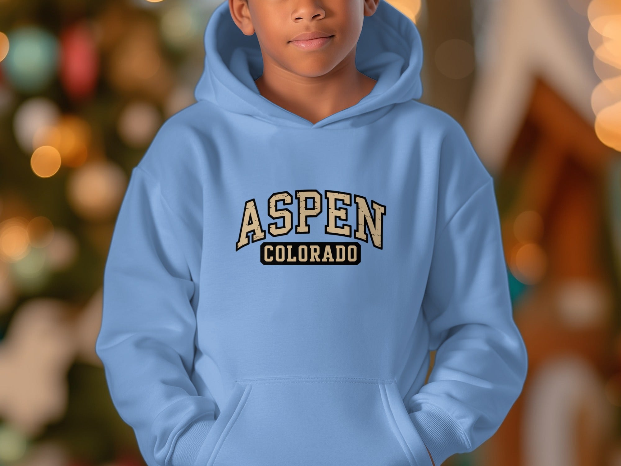 Aspen Colorado Hoodie for trendy fashion product