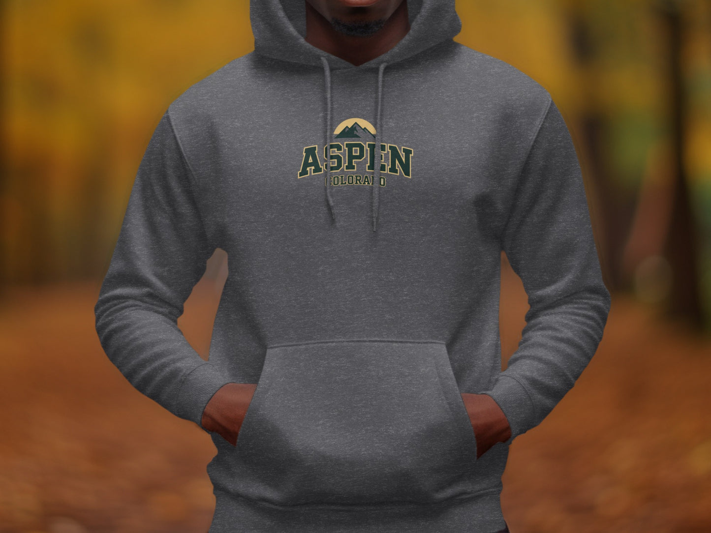 Aspen Colorado Hoodie Casual Clothing product type