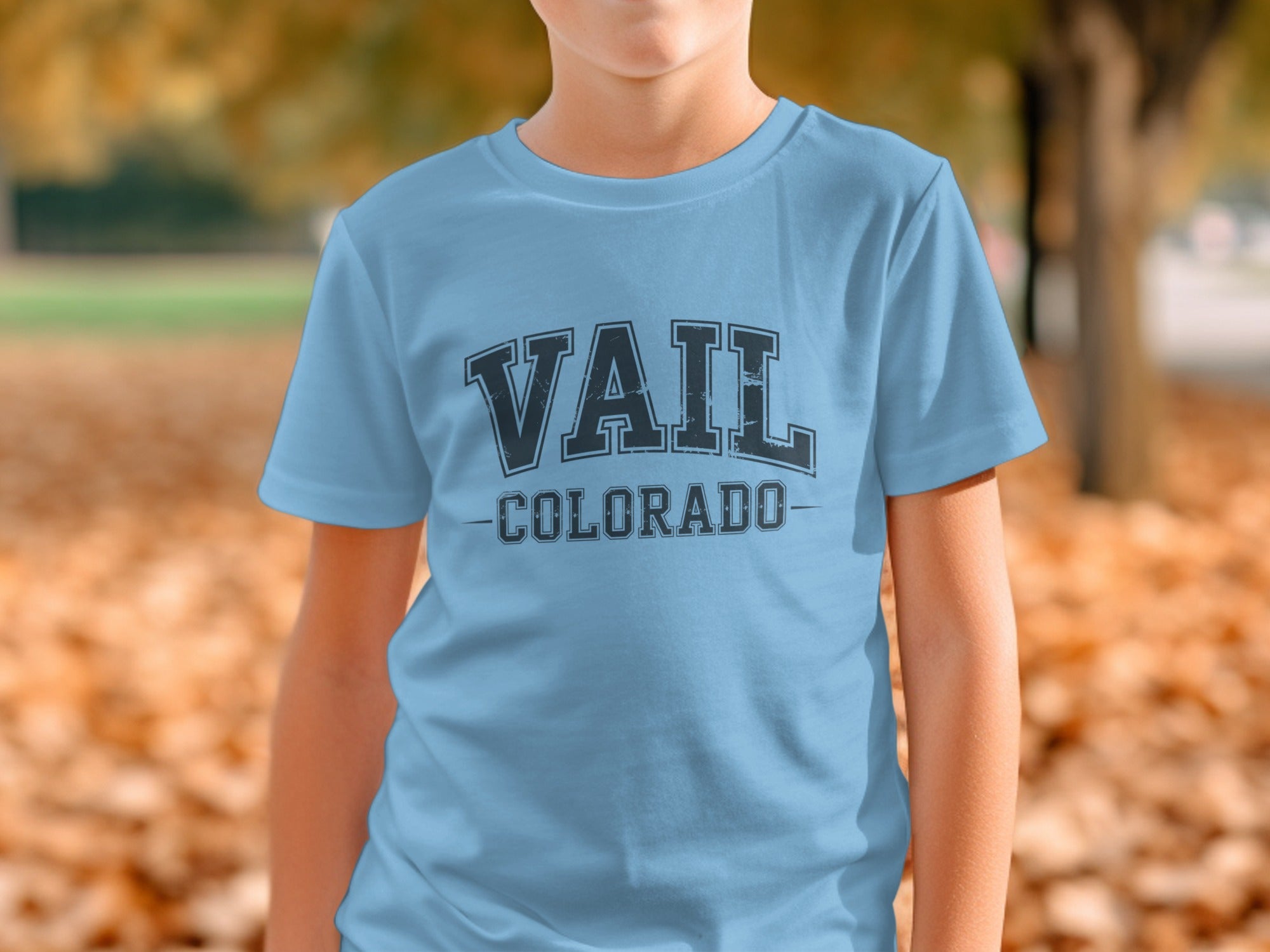 Vail Colorado Graphic T-shirt Casual Apparel product
