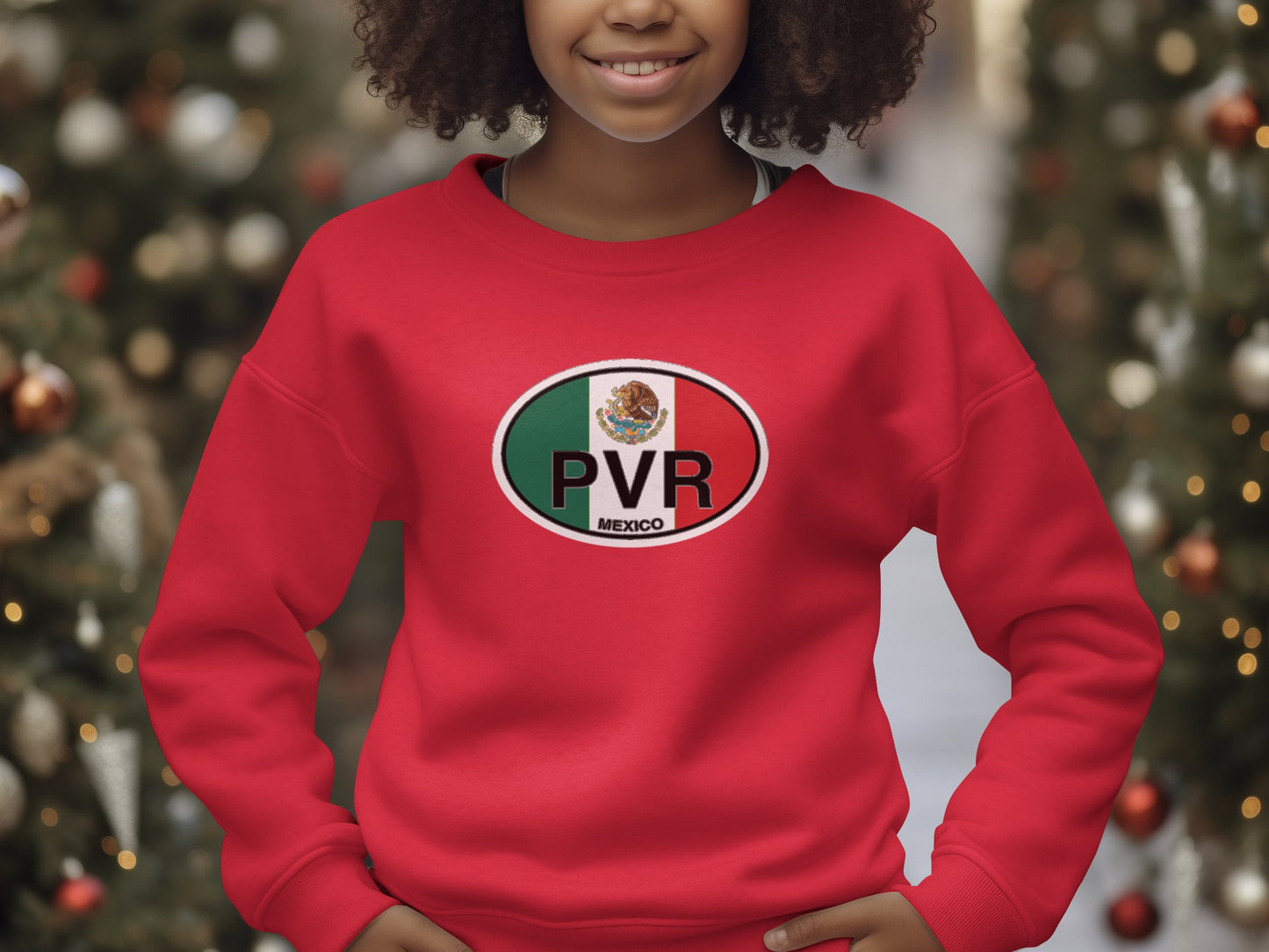 Vallarta Pride Festival, Playa de los Muertos, Malecon Boardwalk Youth Sweatshirt