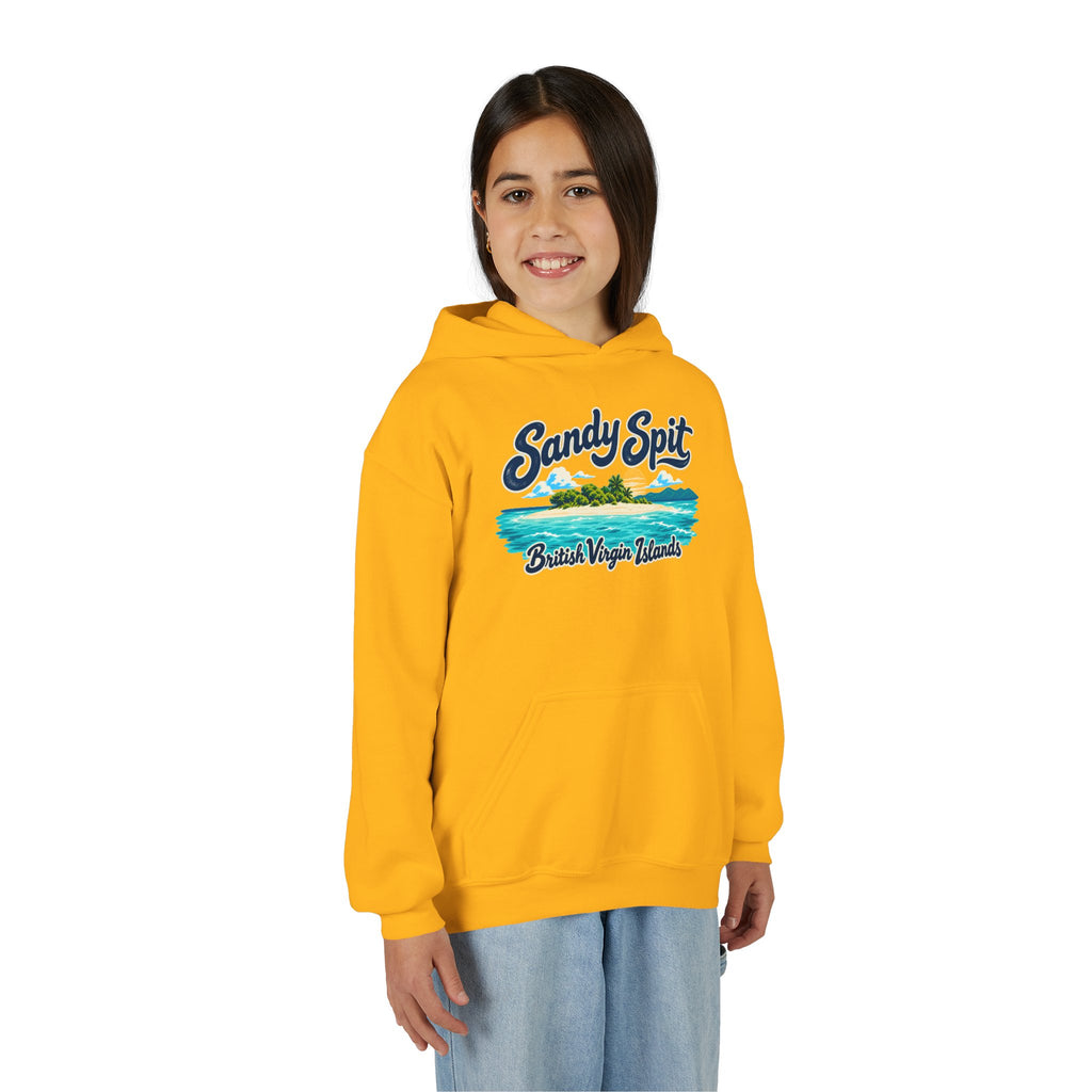 Young model wearing the Sandy Spit BVI Gildan 18500B youth hoodie, front-view mockup.