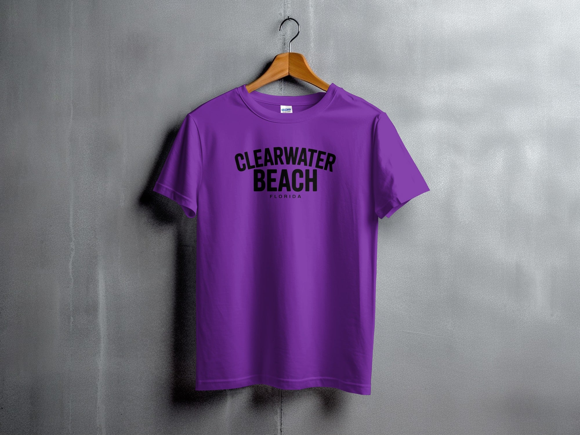 Clearwater Beach Florida Print T-Shirt product type
