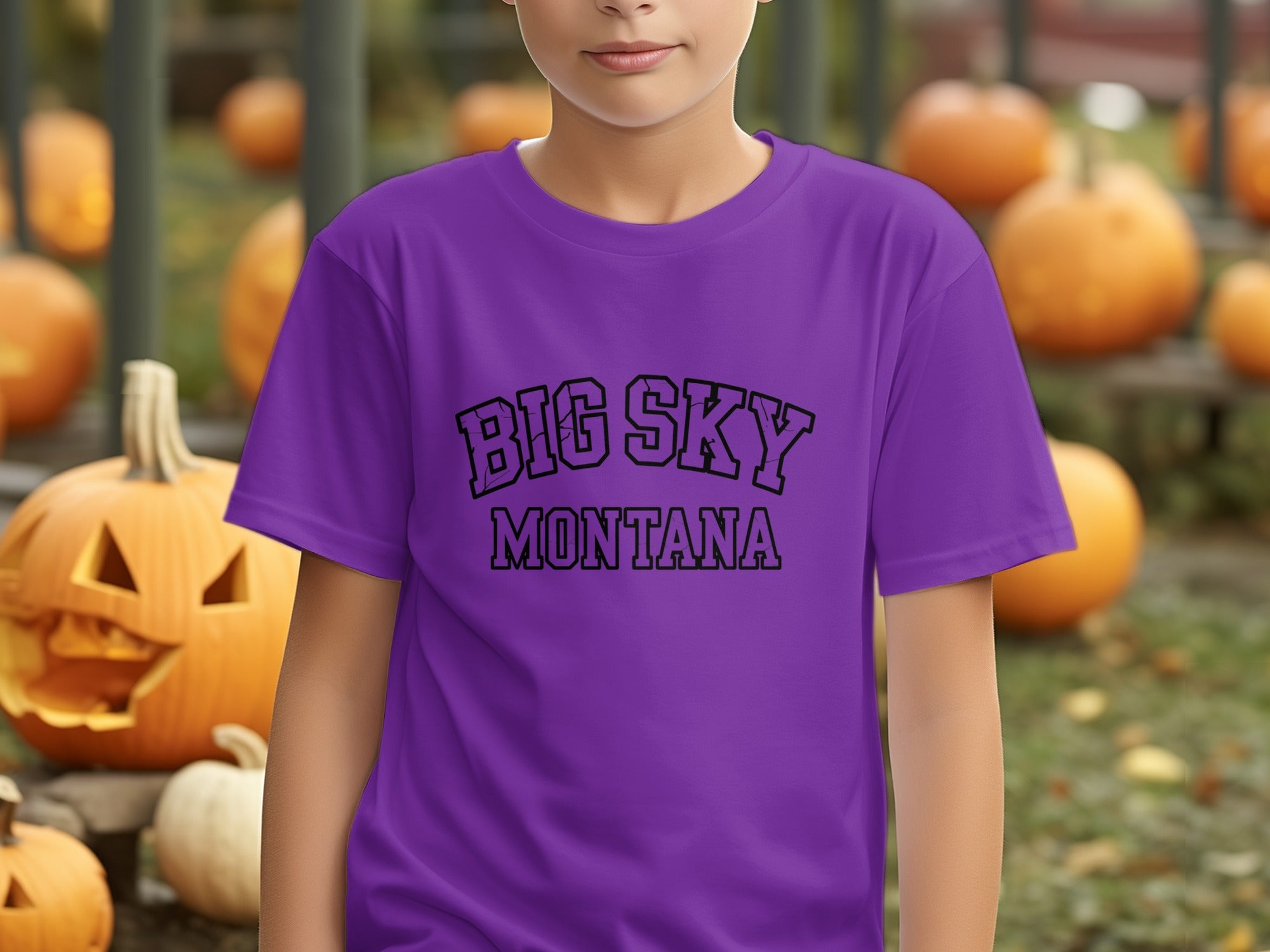 Big Sky Montana Purple Casual Wear T-Shirt