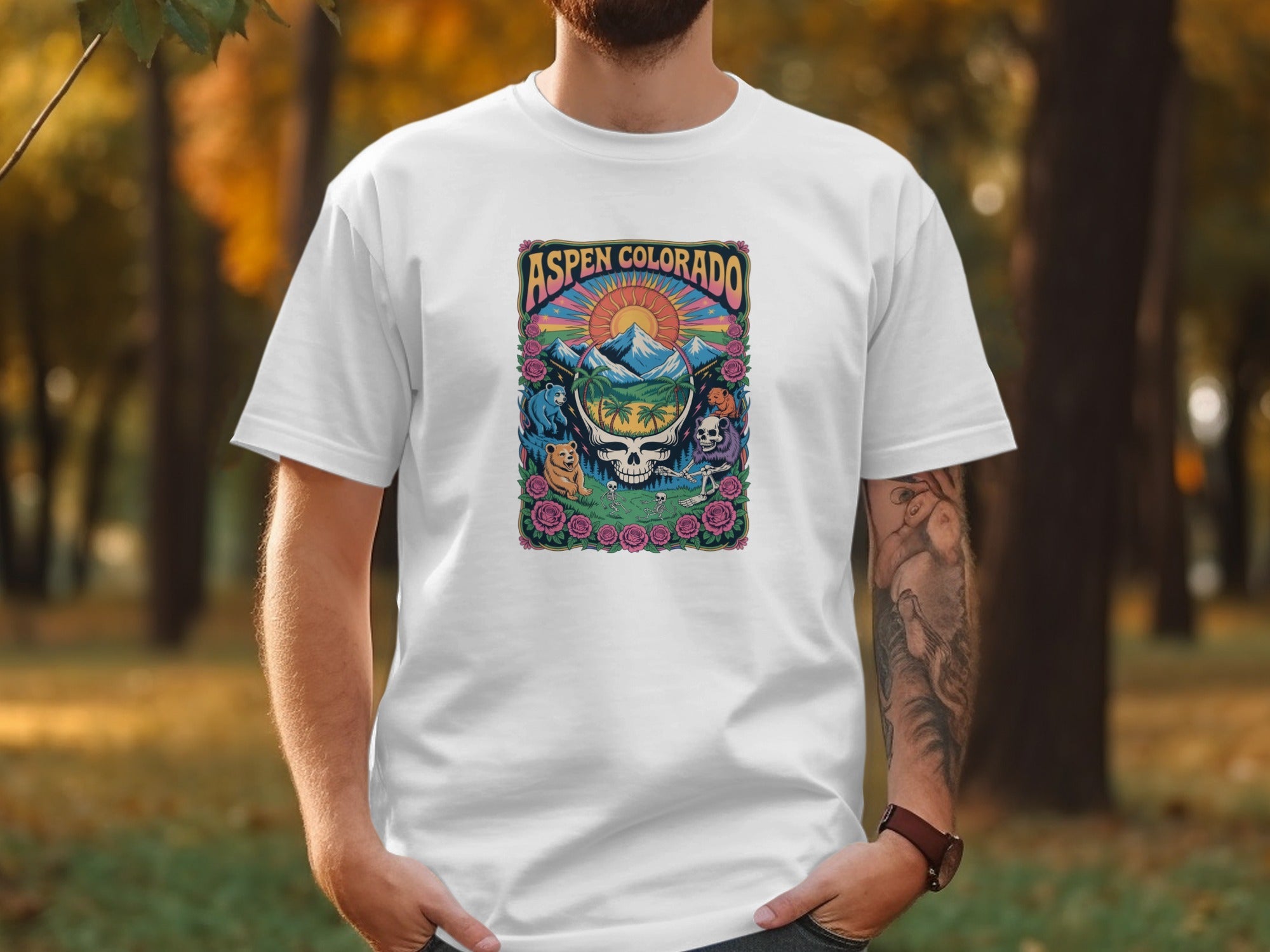 Aspen Colorado Graphic Art Mens T-Shirts