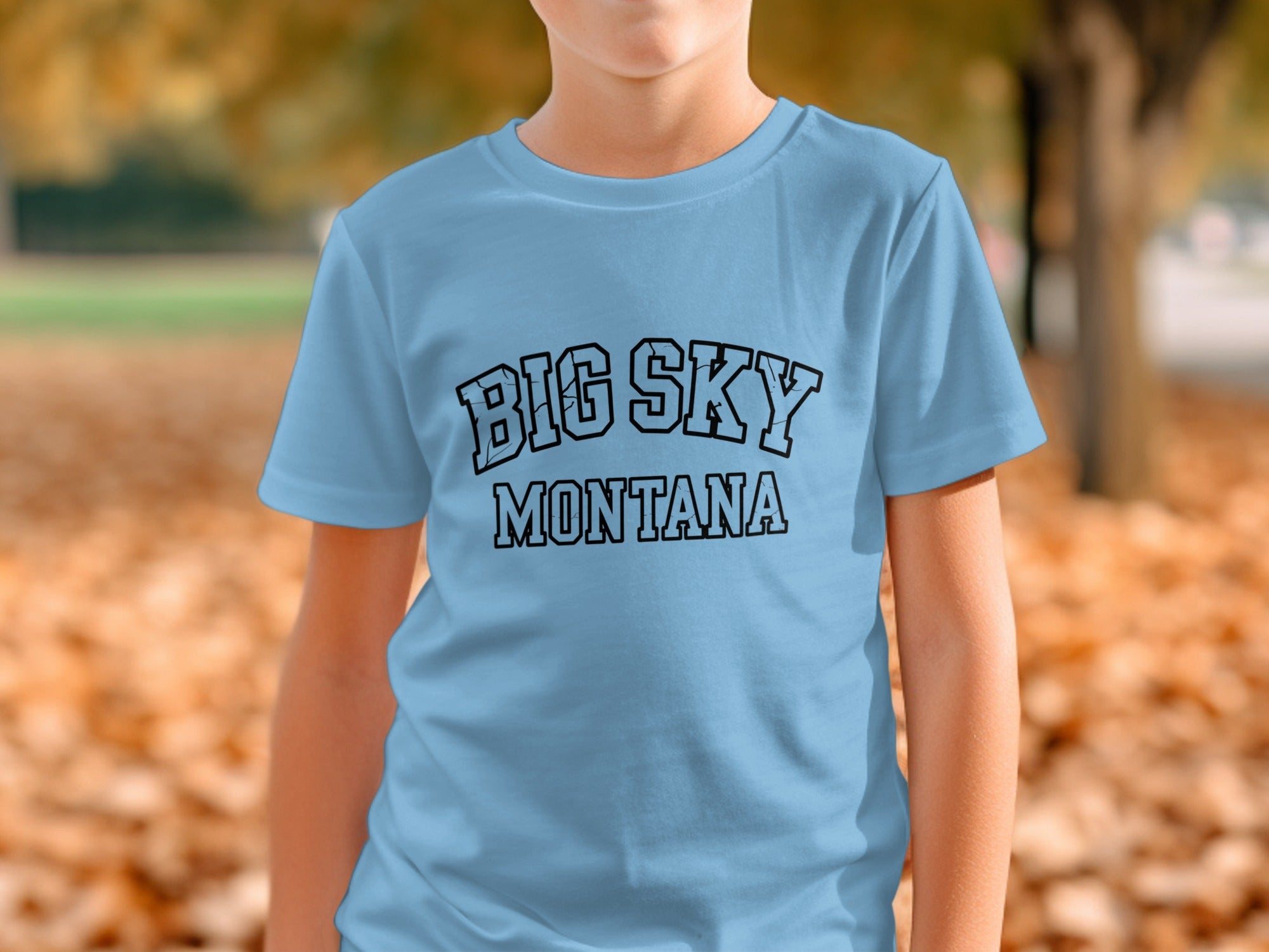 Big Sky Montana Graphic Tee for Casual Fashion