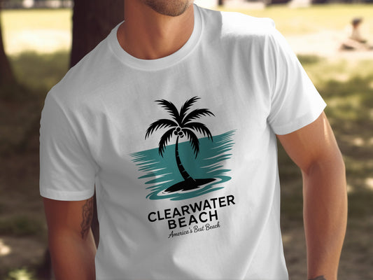 Clearwater Beach America's Best Beach product type
