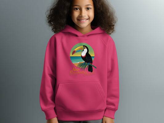 New Smyrna Beach Toucan Graphic Hoodie product