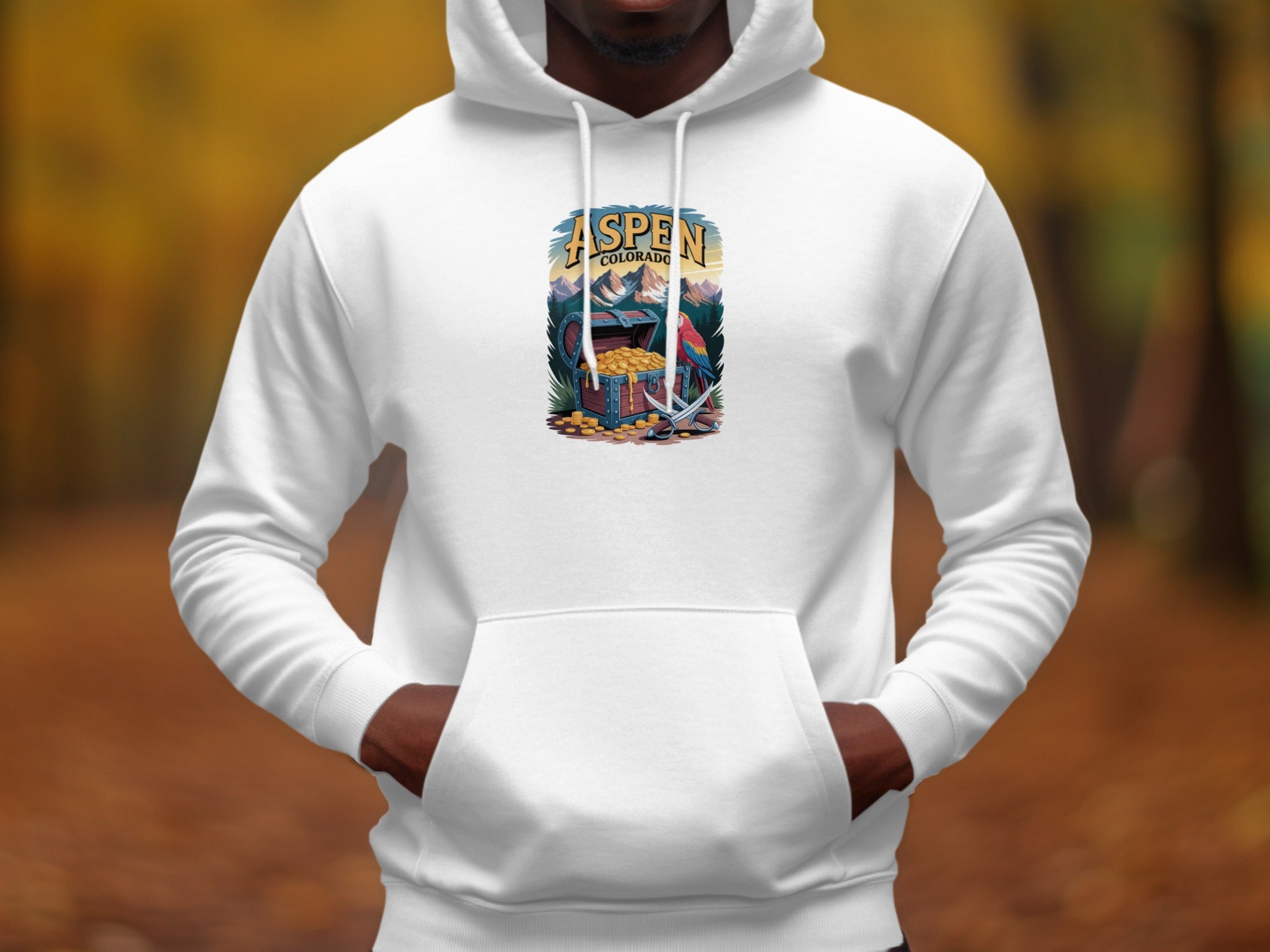 Aspen Colorado Scenic Treasure Graphic Mens Hoodies Hoodies